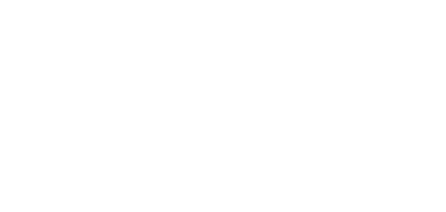 fife council logo